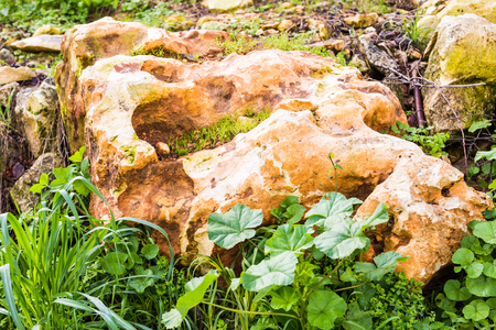 Large stone in a green grass are a confidence and tranquillity symbolの写真素材