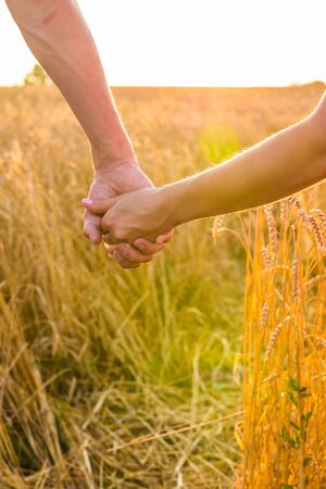 Back view of beautiful love couple holding hands outdoors over a summer field background. Close-upの写真素材