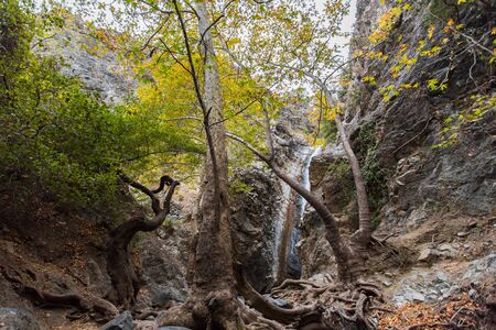 A view of a small waterfall in troodos mountains in cyprusの写真素材