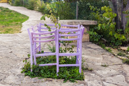 Young tree in protection cage in a field in the countryside.の写真素材
