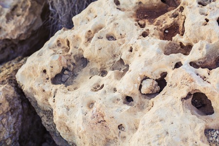 porous stone of white color