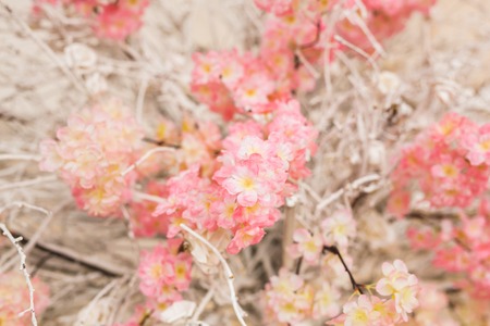Floral background. Lot of artificial flowers in colorful compositionの写真素材
