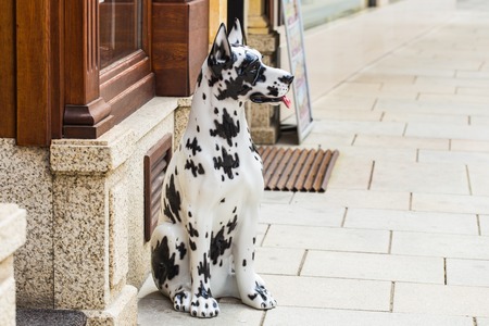 statue ceramic of dog in front of pet shopの写真素材