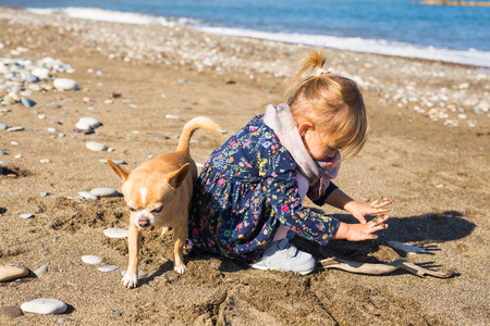Happy little girl playing with dogの写真素材