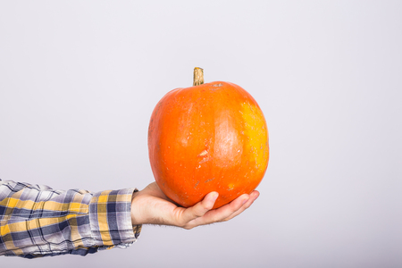 Farm, autumn and harvest concept - pumpkin in mans hand over white background with copy spaceの写真素材