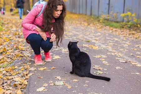 People, pets and season concept - young woman and a cat in the autumn parkの写真素材