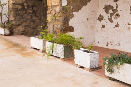 Green potted plants in beautiful pot outdoorの写真素材