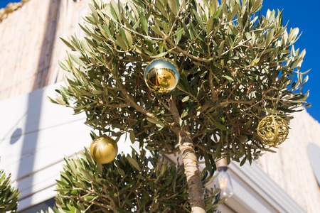 Holidays and decoration concept - Christmas ball on the branches in outdoor