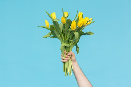 Mans hand reaching out a bunch of yellow tulips on blue backgroundの写真素材