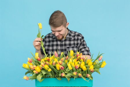 Cheerful handsome man florist with box of tulips on blue backgroundの写真素材