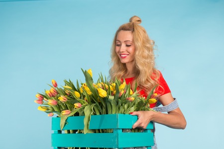 Beautiful blonde woman gardener holding box with tulips on blue backgroundの写真素材