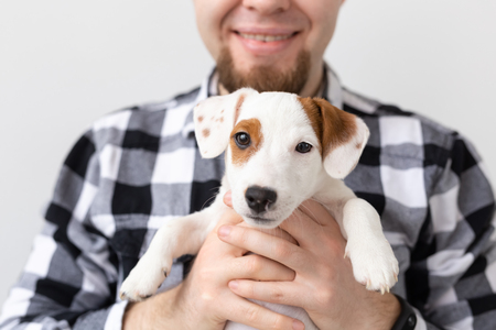 people, pets and animals concept - close up of young man holding jack russell terrier puppy on white backgroundの写真素材