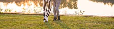 Romantic, social dance, people concept - close up of legs dancing bachata near the lake in sunny dayの写真素材