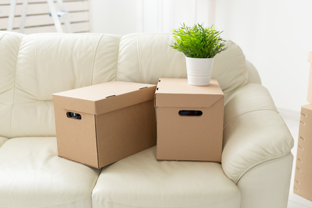 Boxes with things and a flower in the pot stand on the couch during the move of residents to a new apartment. The concept of home buying and the hassle of moving.の素材 [FY310124308832]