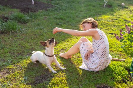 Young woman with her jack russell terrier dog playing on the grass outsideの写真素材