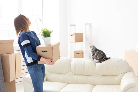 Charming young woman holds a box with things while moving while standing in a new apartment next to her gray lop-eared scottish cat. The concept of moving and housewarming.の写真素材