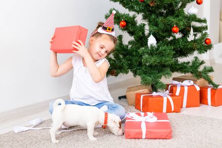 Kid opening Xmas presents. Child under Christmas tree with gift boxes.の写真素材