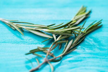 Close-up fragrant rosemary herbs on white on turquoise background.の写真素材