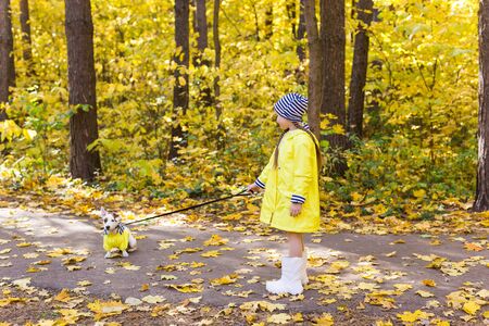 Portrait of a little girl on a background of orange and yellow leaves in an autumnal sunny day. Little puppy jack russell terrier. Pet and child concept.の写真素材