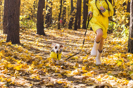 Portrait of a little girl on a background of orange and yellow leaves in an autumnal sunny day....