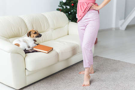 Happy woman with dog. Christmas tree with presents under it. Decorated living room