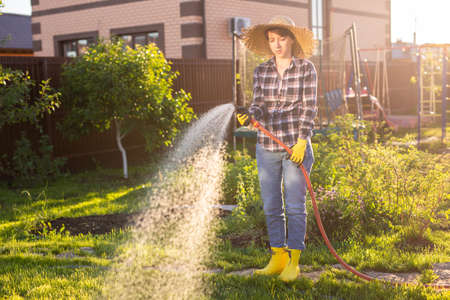 Caucasian woman gardener in work clothes watering the beds in her vegetable garden on sunny warm...