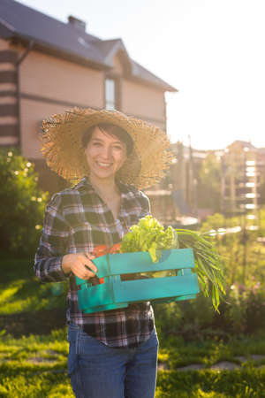 Hardworking young woman gardener in straw hat picks up her harvest box of vegetables on sunny summer day. Concept of organic farming and vegetable growingの写真素材