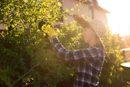 Side view of focused young caucasian woman gardener cuts unnecessary branches and leaves from tree...