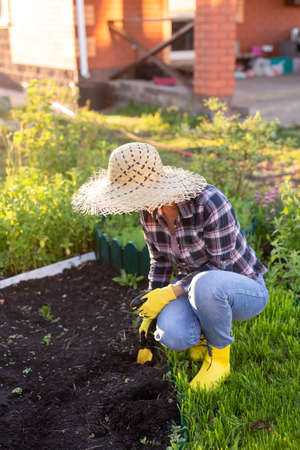 Positive smiling young woman gardener plants plants in the garden bed in spring on a warm sunny day. Organic farming and hobby conceptの写真素材