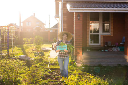 Hardworking young woman gardener in straw hat picks up her harvest box of vegetables on sunny summer day. Concept of organic farming and vegetable growingの写真素材