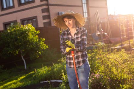 Caucasian woman gardener in work clothes watering the beds in her vegetable garden on sunny warm summer day. Concept of working in the garden and your farmの写真素材