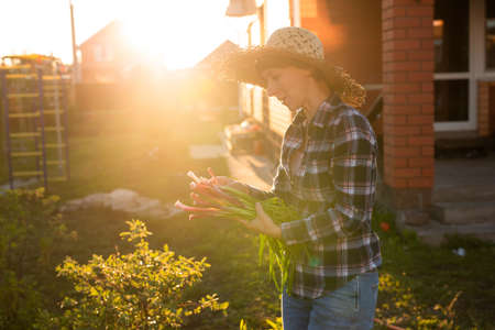 Joyful woman gardener holds bunch of green onions on sunny warm spring day. Plant care and harvest concept and hobbyの写真素材