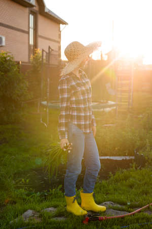 Joyful woman gardener holds bunch of green onions on sunny warm spring day. Plant care and harvest concept and hobbyの写真素材