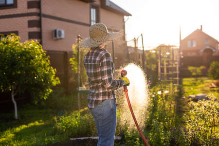 Caucasian woman gardener in work clothes watering the beds in her vegetable garden on sunny warm...