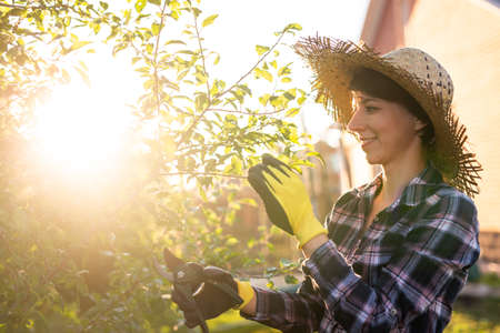 Side view of joyful young caucasian woman gardener cuts unnecessary branches and leaves from a tree with pruning shears while processing an apple tree in the garden. Gardening and hobby conceptの写真素材