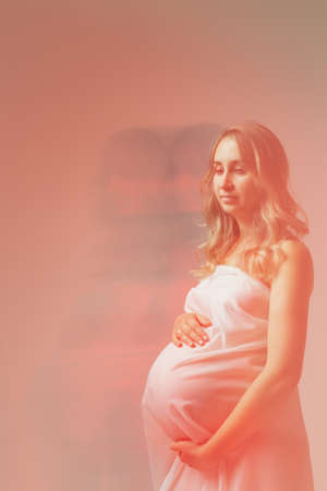 Elegant pregnant young woman standing wearing light fabric. Pregnancy, fantasy and fairy tale concept.の写真素材