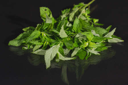 Mint leaves on black background. Peppermint lying on table