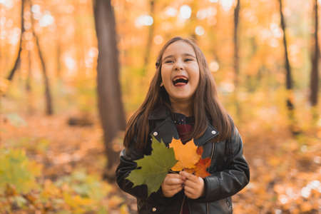Autumn emotional portrait of laughing child walking in park or forest