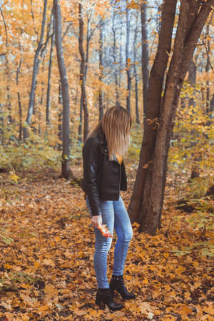 Young woman holding autumn leaves in fall park. Seasonal, lifestyle and leisure concept.の写真素材
