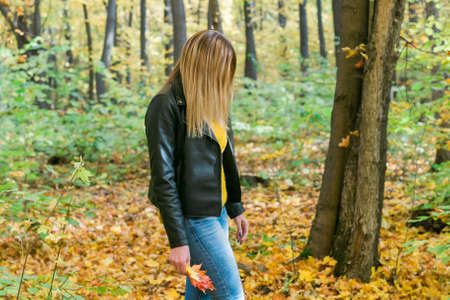 Girl holds fallen leaves and walks in autumn park. Seasonal concept.の写真素材