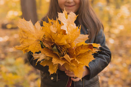 Close up of little girl holds a bouquet of autumn leaves in her hands in fall season