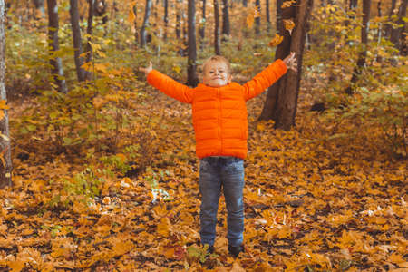 Boy throws up fallen leaves on a background of autumn landscape. Childhood, fall and nature concept.