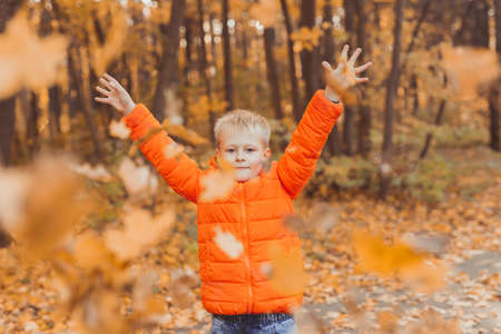 Boy throws up fallen leaves on a background of autumn landscape. Childhood, fall and nature concept.の写真素材