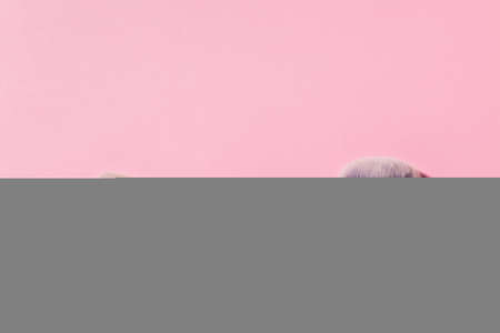 Various make-up brushes on pink background with copy space, top view. Cosmetics and beauty concept.の写真素材