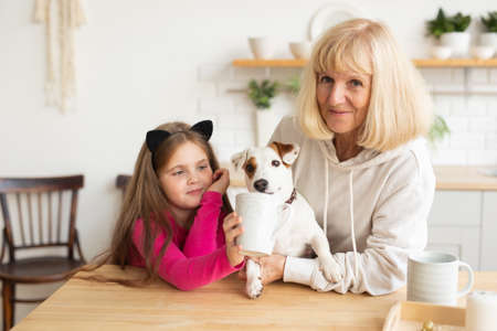 Happy granddaughter and grandmother in the kitchen with jack russell terrier dog. Grandma and grandchild spend time together at home. Senior people, family and generation concept.の写真素材