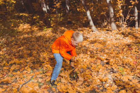 Boy plays with fallen leaves on a background of autumn landscape. Childhood, fall and nature concept.の写真素材