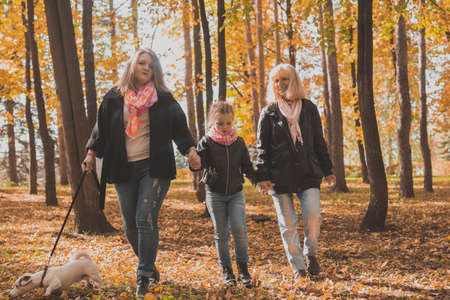 Grandmother and mother with granddaughter walks together in autumn park and having fun. Generation, leisure and family concept.の写真素材