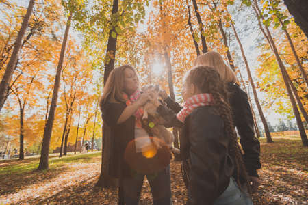 Mother and grandmother and daughter holds jack russell terrier and plays with it in autumn outside. Pet and family conceptの写真素材