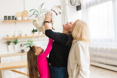 Happy granddaughter and grandmother and daughter having fun with jack russell terrier dog. Pet,...