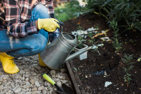 Woman watering organic fresh agricultural product - gardening and spring and bio conceptの写真素材